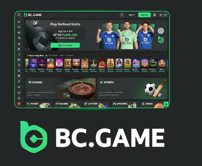 Understanding the BC.Game Mirror Login Process -413677276